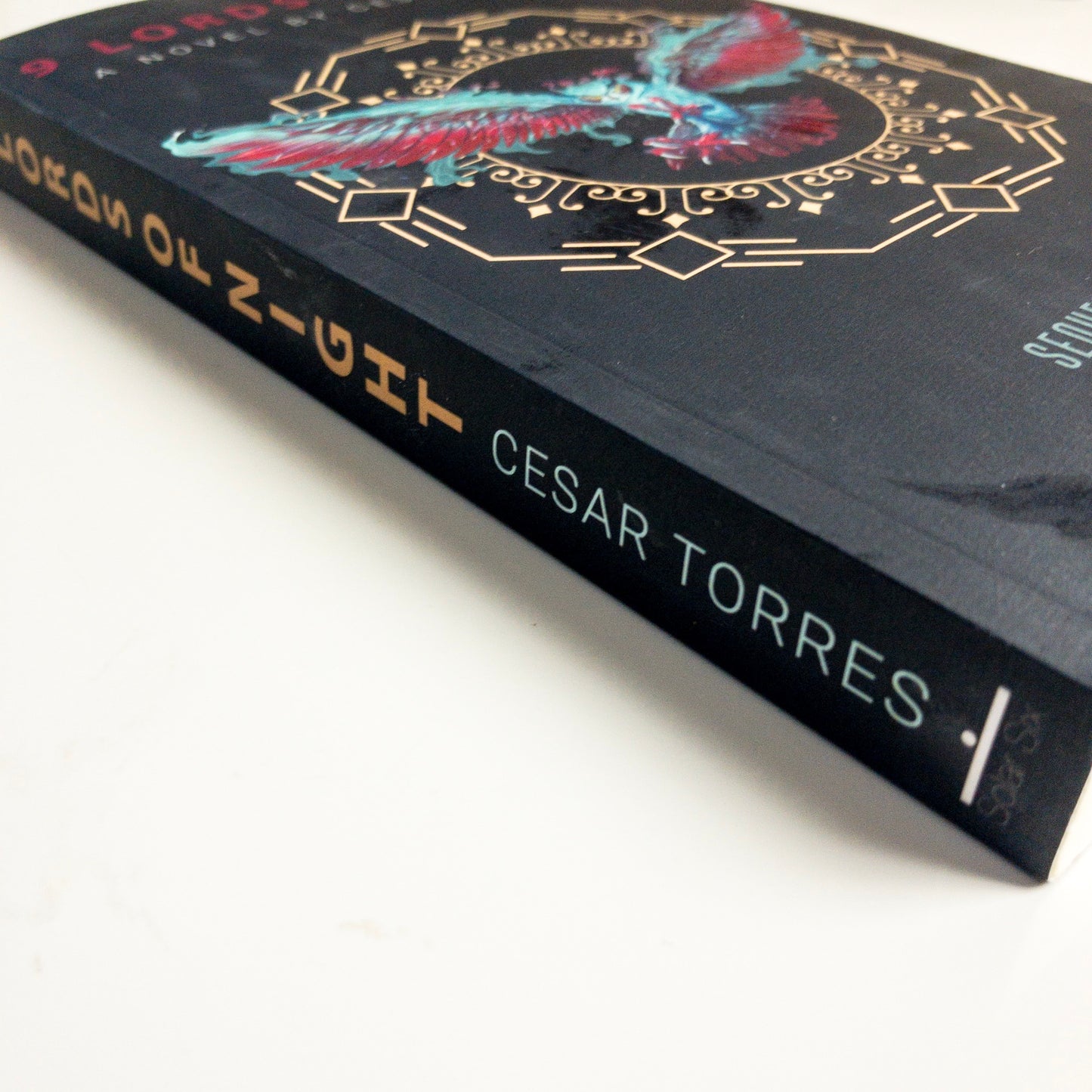 9 Lords of Night Paperback by Cesar Torres