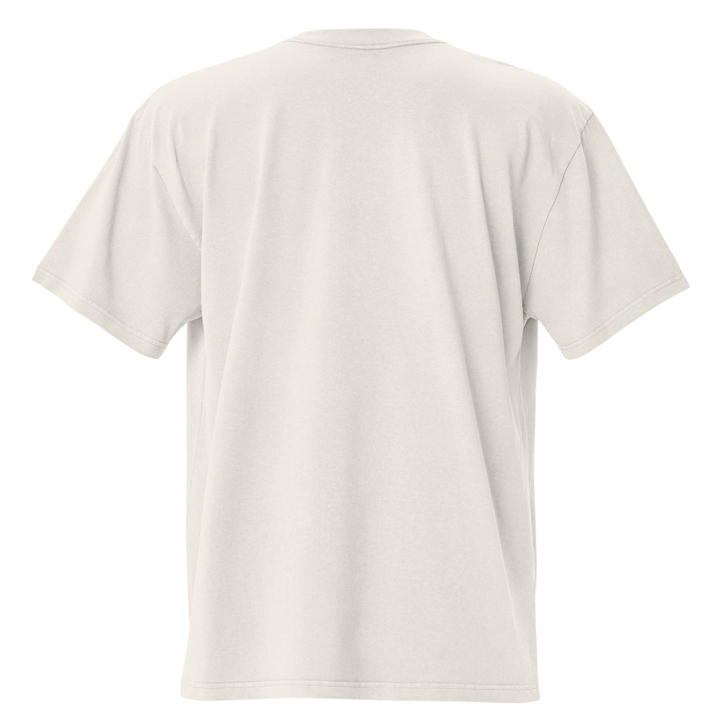 Faded bone Coatlicue oversized distressed tee, back view.