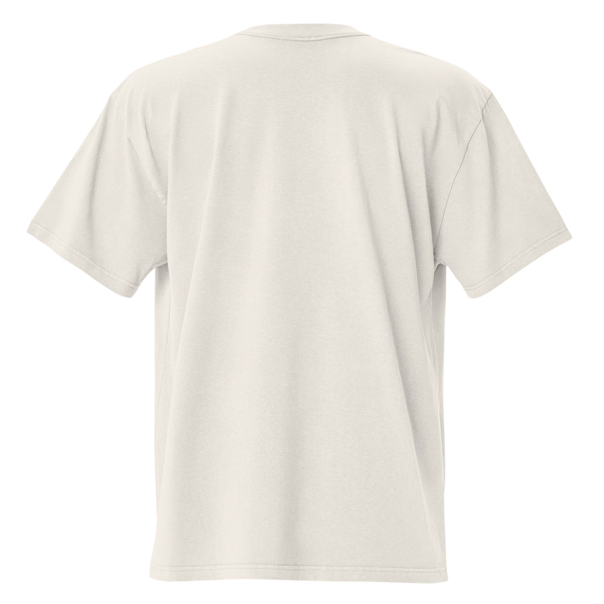 Faded bone Coatlicue oversized distressed tee, back view.
