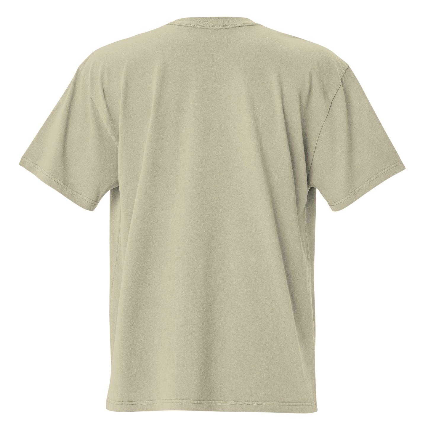 Faded eucalyptus Coatlicue oversized distressed tee, back view.