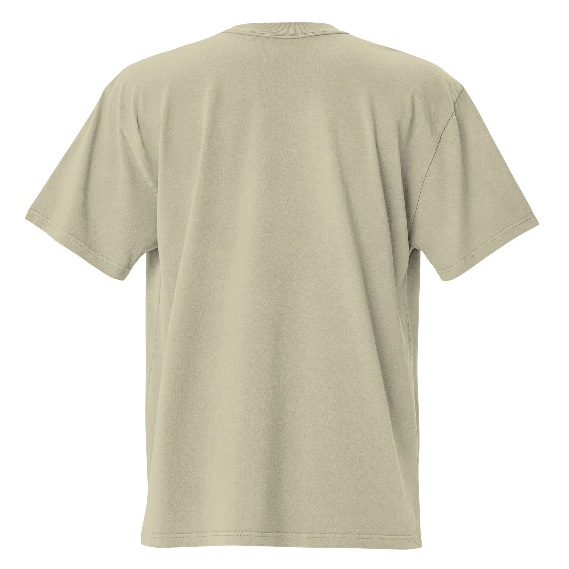 Faded eucalyptus Coatlicue oversized distressed tee, back view.
