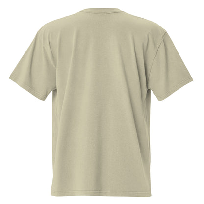 Faded eucalyptus Coatlicue oversized distressed tee, back view.