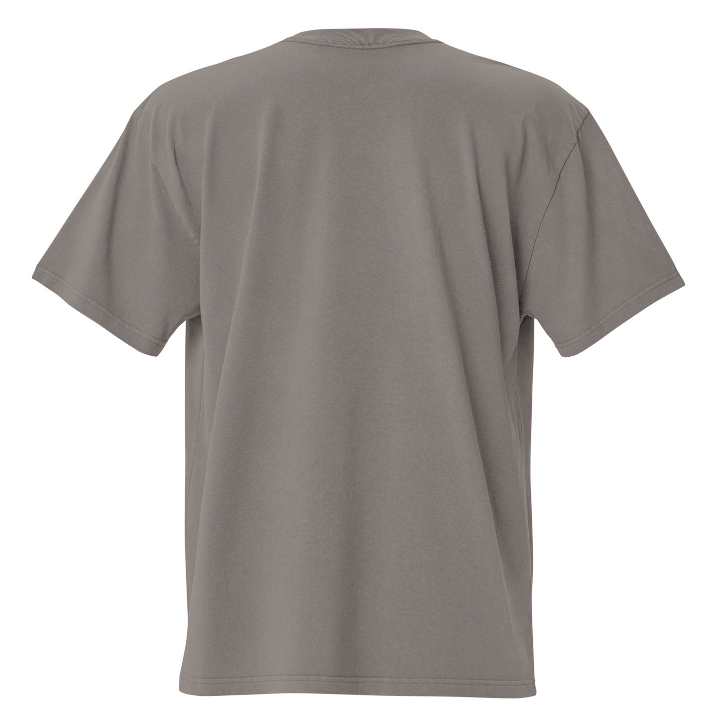 Faded grey Coatlicue oversized distressed tee, back view.