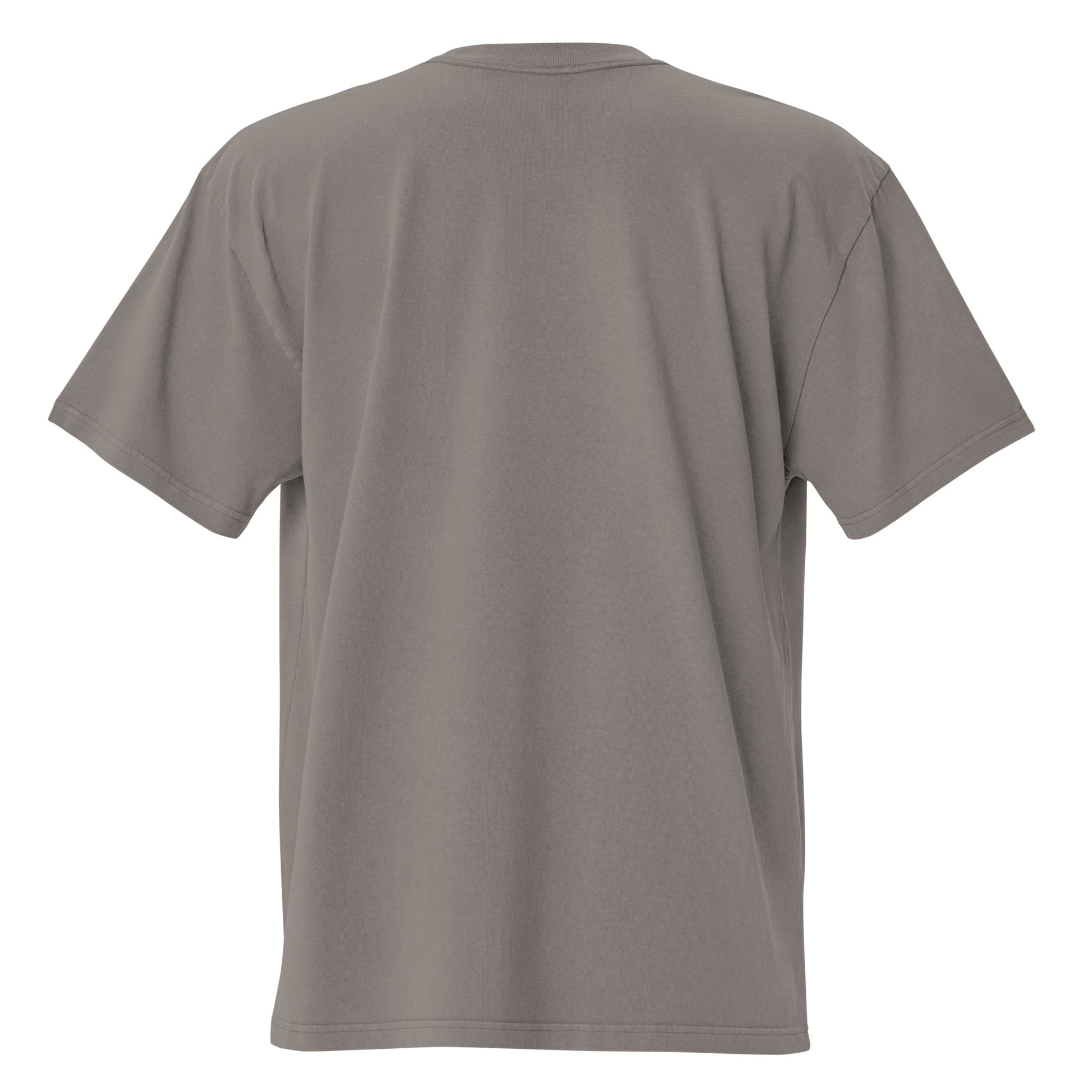 Faded grey Coatlicue oversized distressed tee, back view.